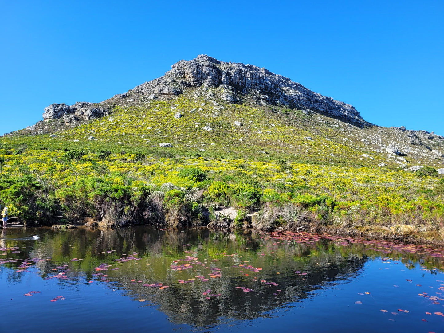  Table Mountain National Park