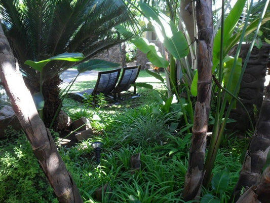 Beverly Hills Guest Lodge Phalaborwa Limpopo Province South Africa Palm Tree, Plant, Nature, Wood, Reptile, Animal, Garden