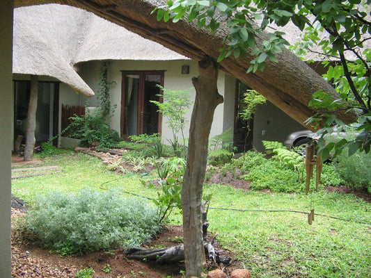 Hippo S Haven Hans Merensky Phalaborwa Limpopo Province South Africa House, Building, Architecture, Plant, Nature, Tree, Wood, Garden