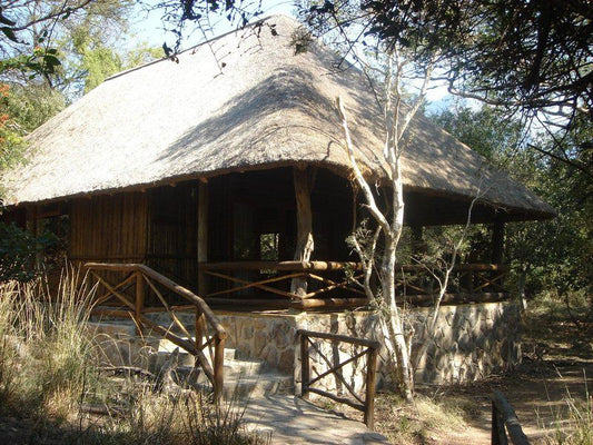 Moholoholo Forest Camp Kampersrus Limpopo Province South Africa Building, Architecture