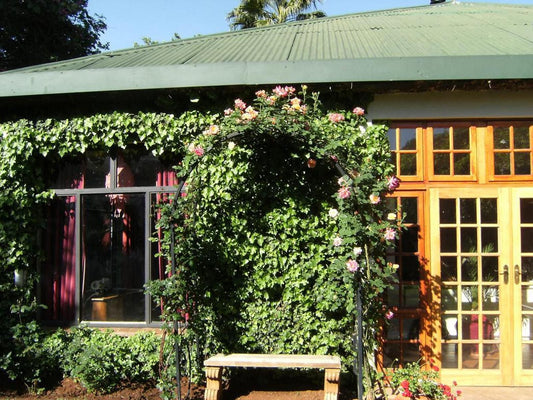 Village Green Guest House Parkview Johannesburg Gauteng South Africa House, Building, Architecture, Plant, Nature, Rose, Flower, Garden