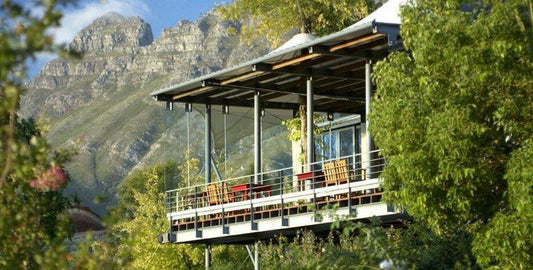 1 Day Cape Winelands Tour Vierlanden Cape Town Western Cape South Africa Cable Car, Vehicle, Mountain, Nature