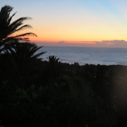 1 Sandy Lane Palmcliffe Kwazulu Natal South Africa Beach, Nature, Sand, Palm Tree, Plant, Wood, Sky, Sunset