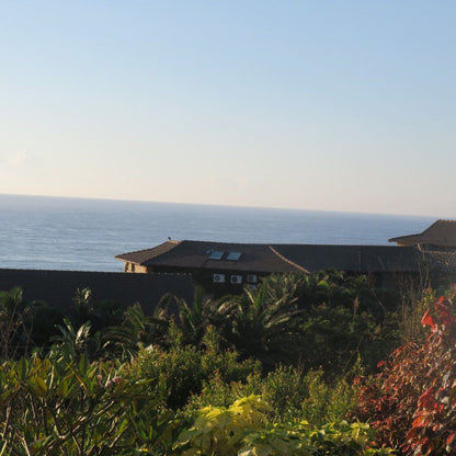 1 Sandy Lane Palmcliffe Kwazulu Natal South Africa Beach, Nature, Sand, Palm Tree, Plant, Wood