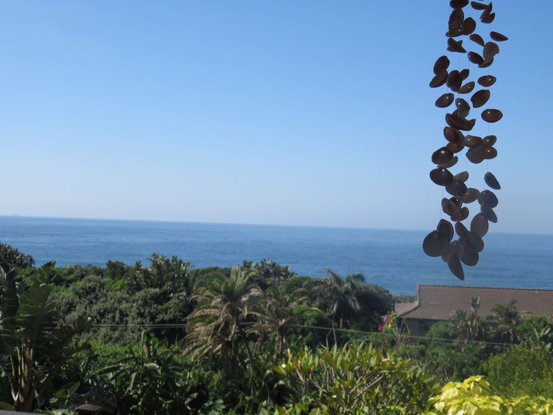 1 Sandy Lane Palmcliffe Kwazulu Natal South Africa Beach, Nature, Sand, Palm Tree, Plant, Wood