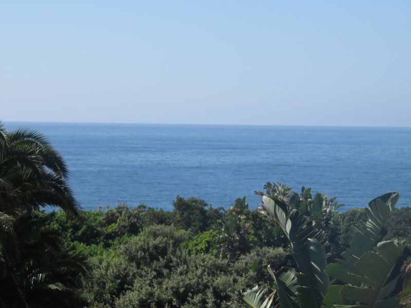 1 Sandy Lane Palmcliffe Kwazulu Natal South Africa Beach, Nature, Sand, Palm Tree, Plant, Wood