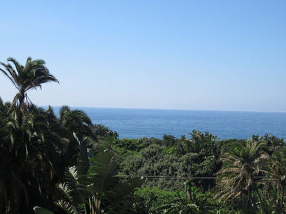 1 Sandy Lane Palmcliffe Kwazulu Natal South Africa Beach, Nature, Sand, Palm Tree, Plant, Wood