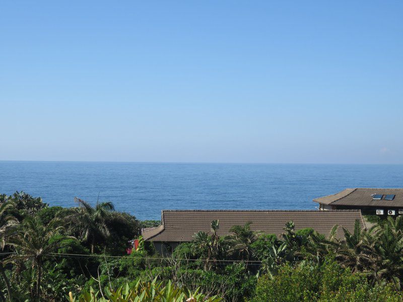 1 Sandy Lane Palmcliffe Kwazulu Natal South Africa Beach, Nature, Sand, Palm Tree, Plant, Wood