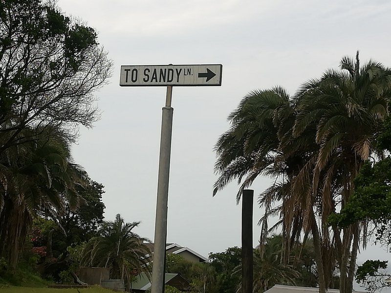 1 Sandy Lane Palmcliffe Kwazulu Natal South Africa Beach, Nature, Sand, Palm Tree, Plant, Wood, Sign, Text