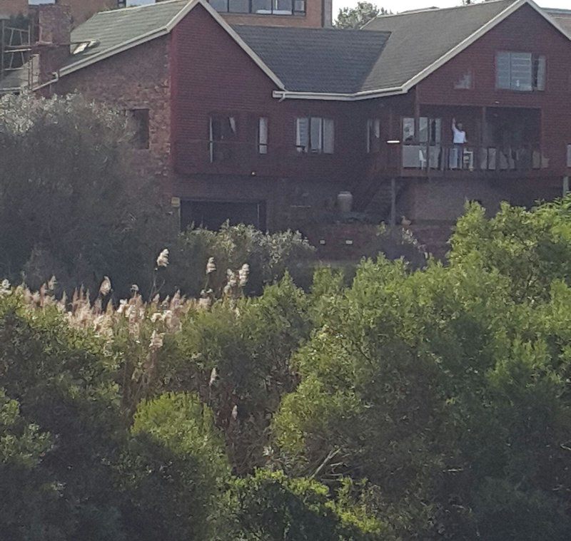 10 Sea Battical Still Bay West Stilbaai Western Cape South Africa Unsaturated, Bird, Animal, House, Building, Architecture