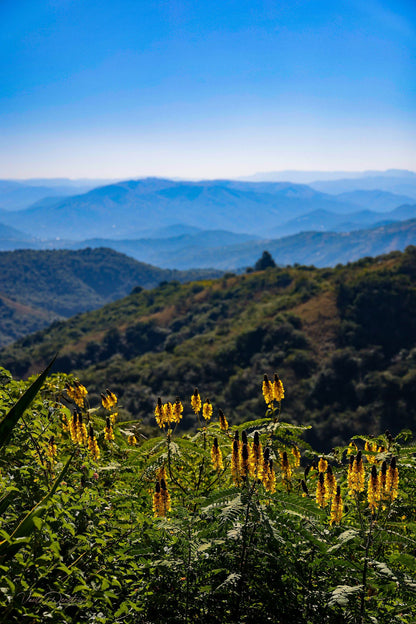  1000 Hills Tourism Information Office