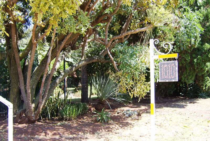 1010 Clifton Bed And Breakfast Lyttelton Centurion Gauteng South Africa Palm Tree, Plant, Nature, Wood, Sign