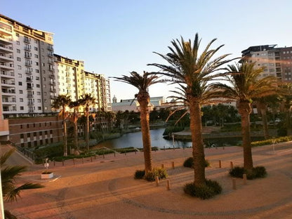 105 Knightsbridge Century City Cape Town Western Cape South Africa Complementary Colors, Palm Tree, Plant, Nature, Wood, Skyscraper, Building, Architecture, City