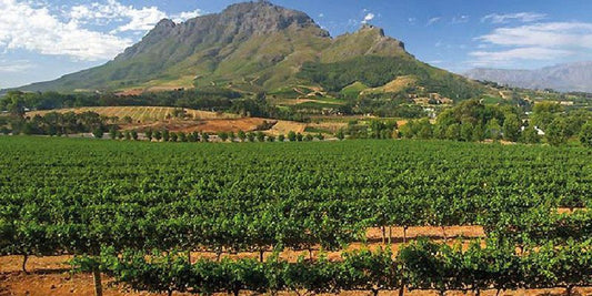 10 Night 10 Day Cpt Garden Route Combo Blouberg Cape Town Western Cape South Africa Wine, Drink, Wine Glass, Glass, Drinking Accessoire, Highland, Nature