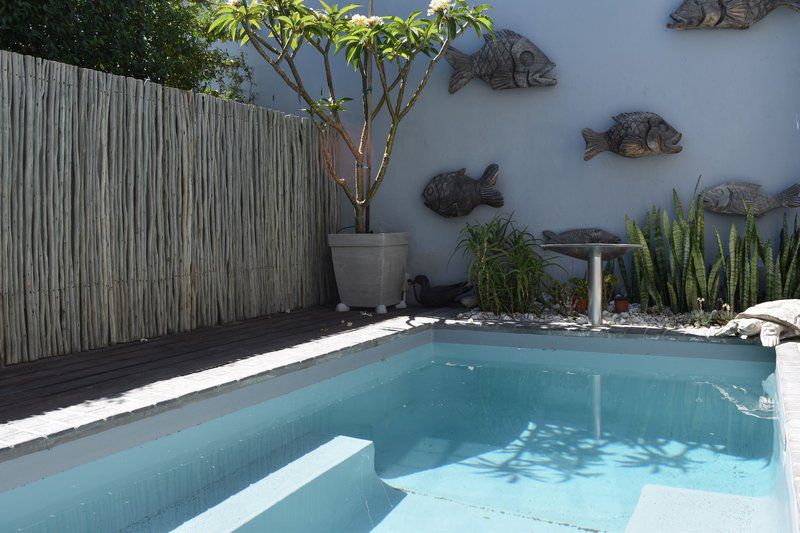 10 Loader Street De Waterkant Cape Town Western Cape South Africa Garden, Nature, Plant, Swimming Pool