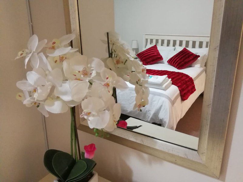 11 Portobelo Diaz Beach Mossel Bay Western Cape South Africa Blossom, Plant, Nature, Bouquet Of Flowers, Flower, Bedroom