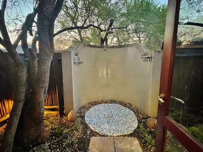 11 Raptors Lodge Hoedspruit Limpopo Province South Africa Bathroom, Framing, Garden, Nature, Plant
