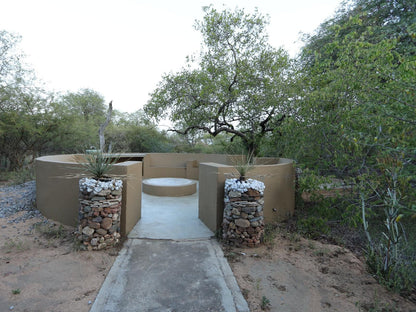 11 Raptors Lodge Hoedspruit Limpopo Province South Africa Cactus, Plant, Nature, Garden