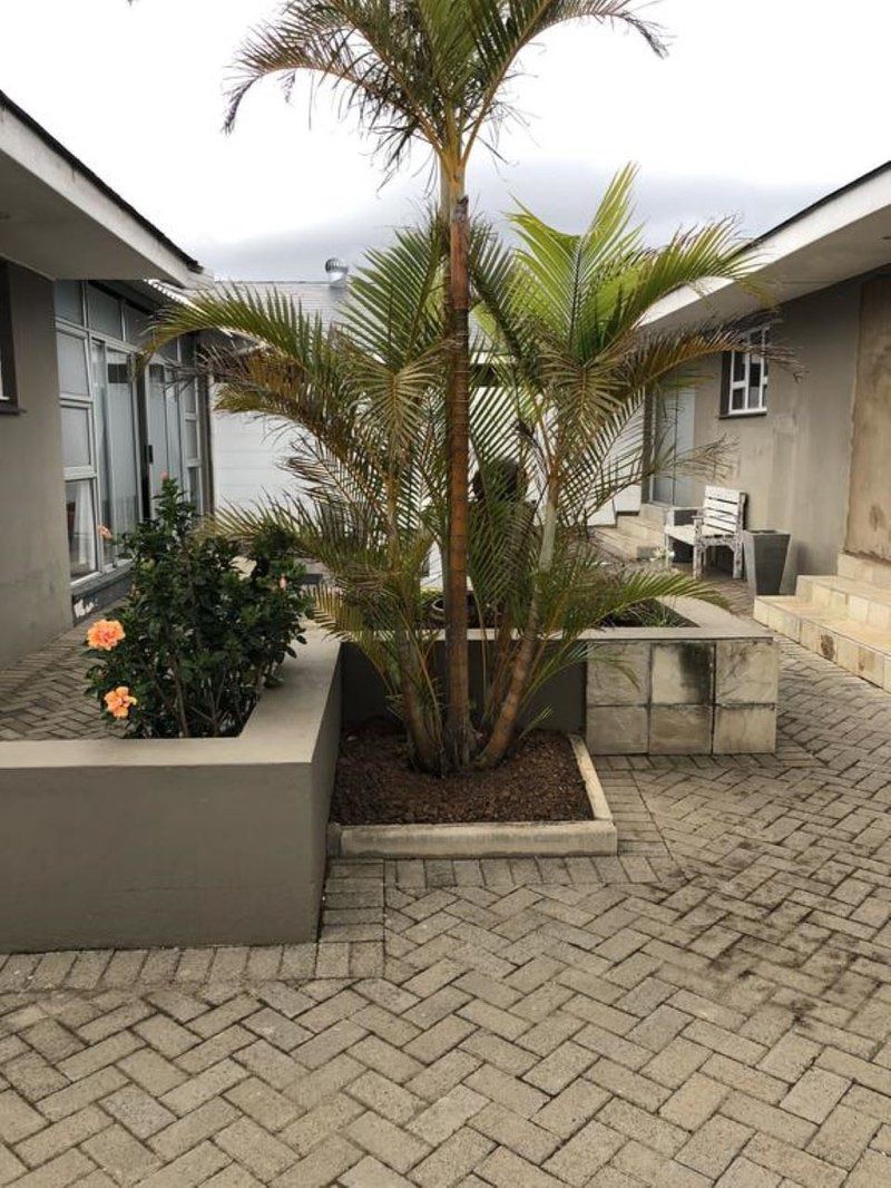 113 On Beach Nahoon East London Eastern Cape South Africa House, Building, Architecture, Palm Tree, Plant, Nature, Wood, Garden