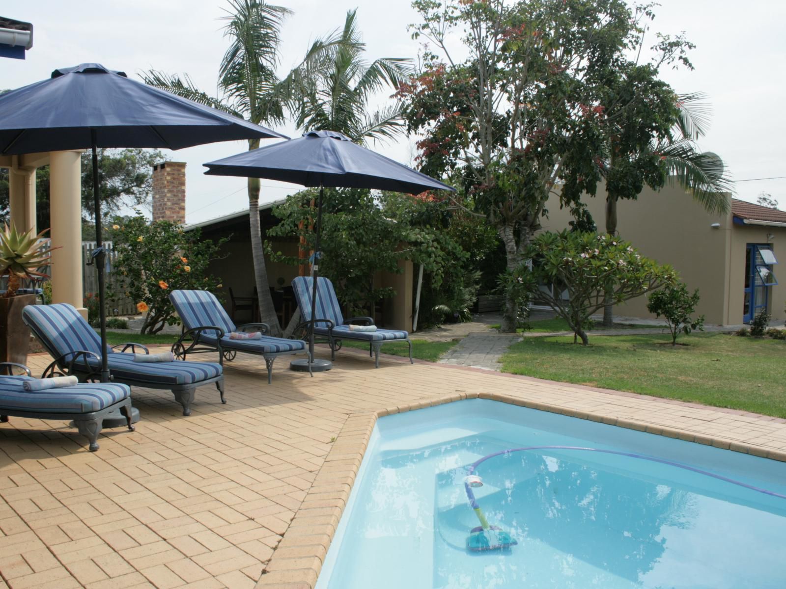 113 On Robberg Plettenberg Bay Western Cape South Africa Complementary Colors, Palm Tree, Plant, Nature, Wood, Swimming Pool