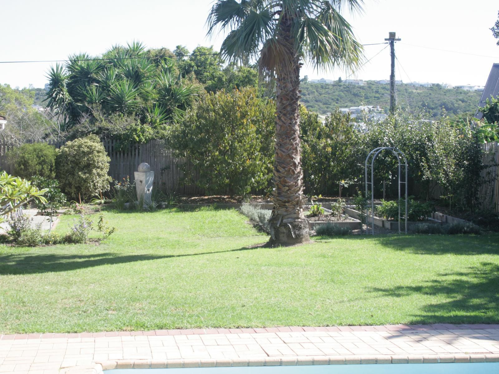 113 On Robberg Plettenberg Bay Western Cape South Africa Palm Tree, Plant, Nature, Wood, Garden, Swimming Pool