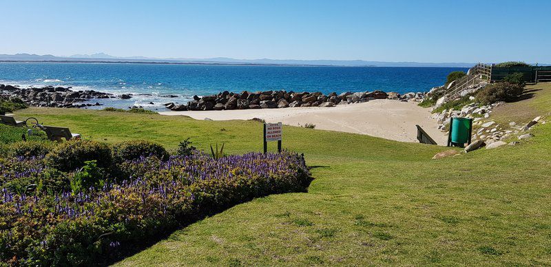 12 Upper Deck St Francis Bay Eastern Cape South Africa Complementary Colors, Beach, Nature, Sand, Plant