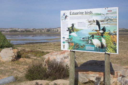 125 Visarend Meerenbosch Fisherhaven Western Cape South Africa Complementary Colors, Bird, Animal, Beach, Nature, Sand, Sign