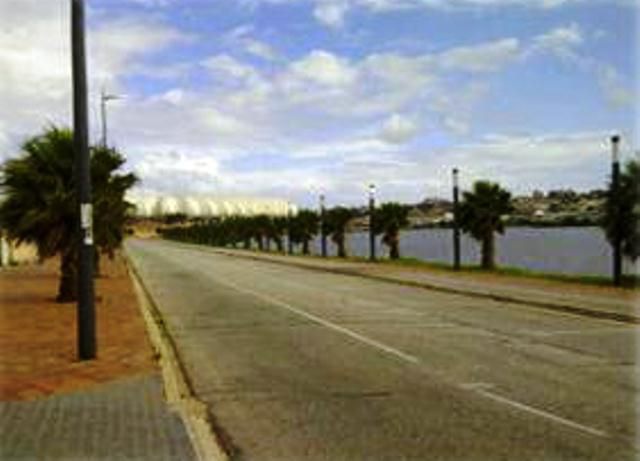 125 Milner Avenue Sydenham Pe Port Elizabeth Eastern Cape South Africa Complementary Colors, Palm Tree, Plant, Nature, Wood, Street