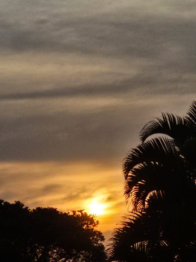 Angel Bay 129 Nkwazi Drive Zinkwazi Beach Zinkwazi Beach Nkwazi Kwazulu Natal South Africa Palm Tree, Plant, Nature, Wood, Sky, Clouds, Sunset