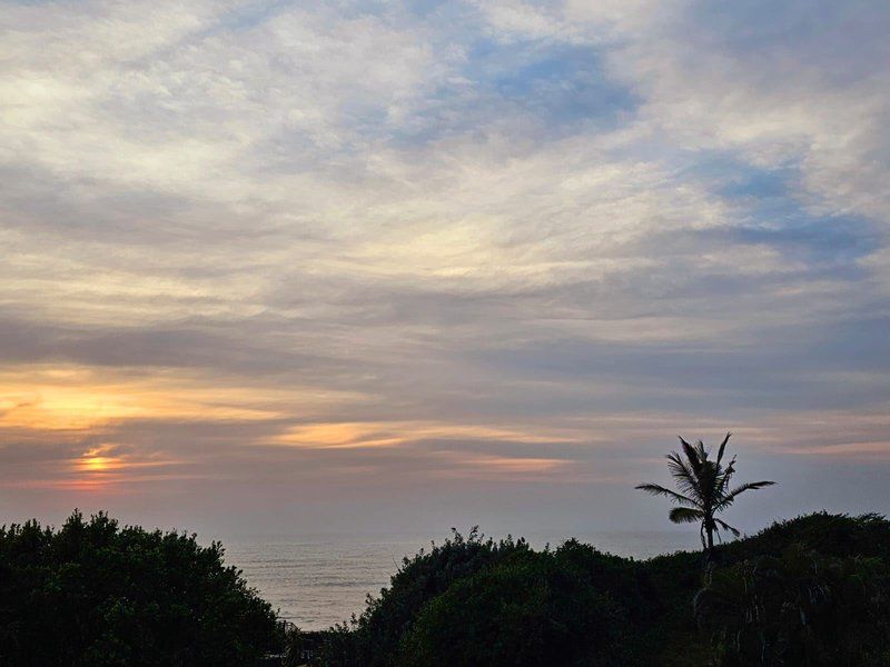 Angel Bay 129 Nkwazi Drive Zinkwazi Beach Zinkwazi Beach Nkwazi Kwazulu Natal South Africa Beach, Nature, Sand, Palm Tree, Plant, Wood, Sky, Clouds, Sunset