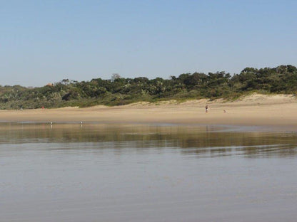 12 Bronze Paradise Ivy Beach Port Edward Kwazulu Natal South Africa Beach, Nature, Sand