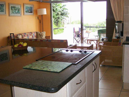 12 Bronze Paradise Ivy Beach Port Edward Kwazulu Natal South Africa Kitchen