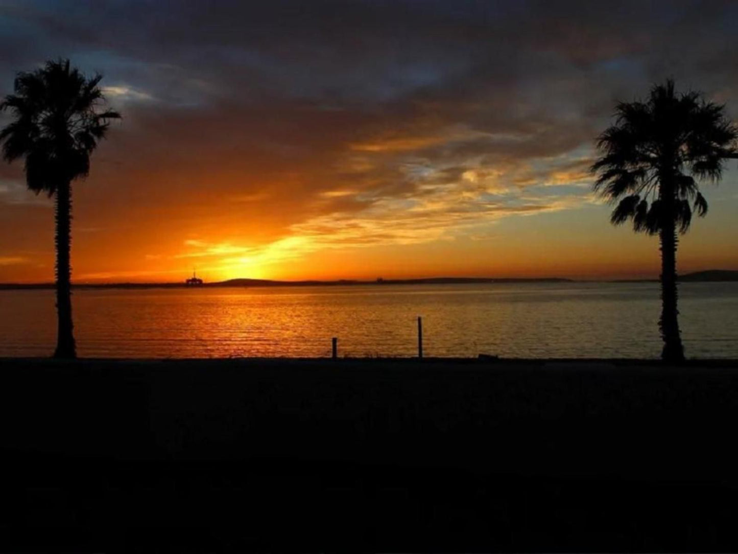 12 On Beach Guest House Saldanha Western Cape South Africa Beach, Nature, Sand, Palm Tree, Plant, Wood, Sky, Sunset