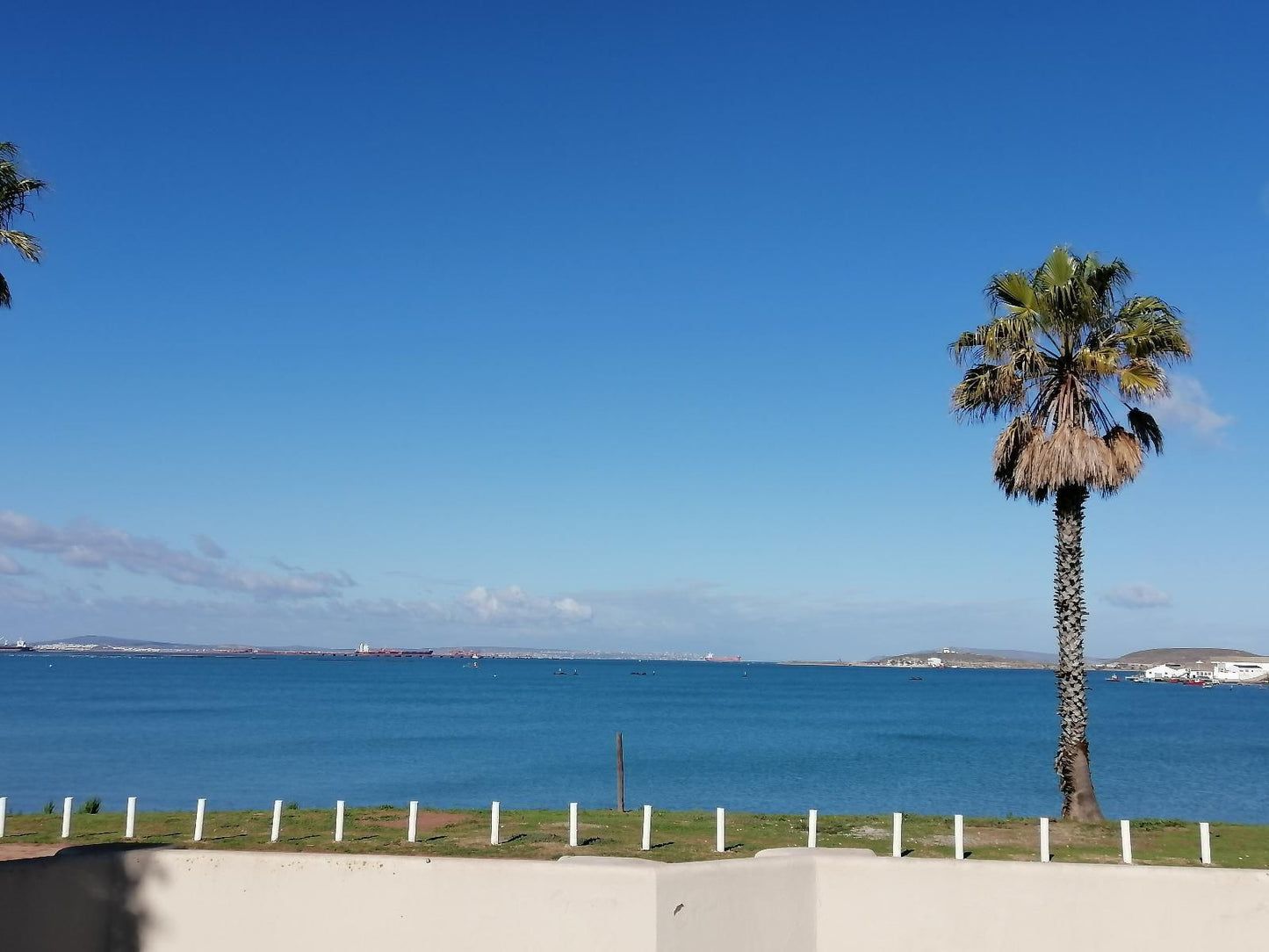 12 On Beach Guest House Saldanha Western Cape South Africa Beach, Nature, Sand, Palm Tree, Plant, Wood