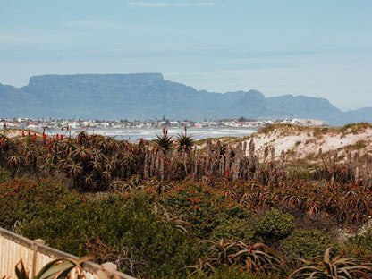 14 Penguin Place Van Riebeeckstrand Cape Town Western Cape South Africa Complementary Colors, Beach, Nature, Sand