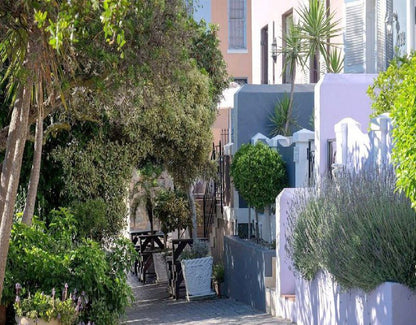 145 Waterkant Street Townhouse De Waterkant Cape Town Western Cape South Africa Balcony, Architecture, House, Building, Palm Tree, Plant, Nature, Wood, Garden