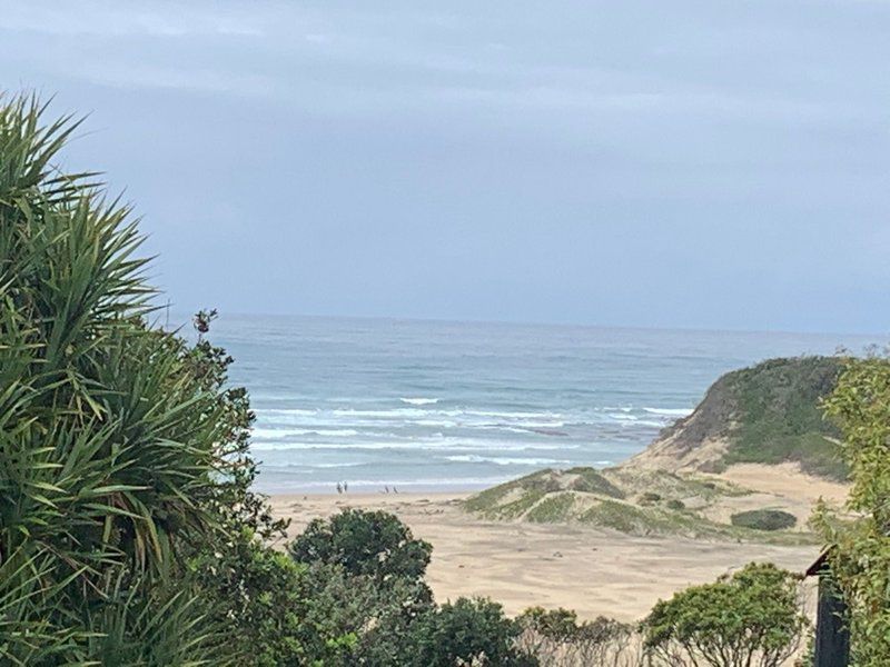 158 On Marlin Amatola Coastal Eastern Cape South Africa Beach, Nature, Sand, Cliff, Palm Tree, Plant, Wood, Ocean, Waters