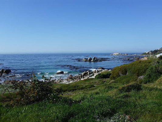 15 On Penguin Guesthouse Simons Town Cape Town Western Cape South Africa Beach, Nature, Sand, Cliff, Ocean, Waters