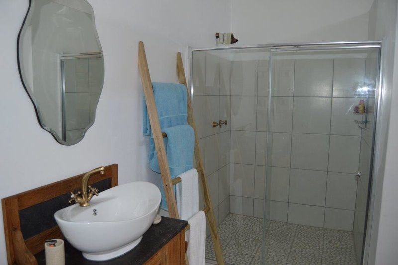 16 On Beach Crescent Port Alfred Eastern Cape South Africa Unsaturated, Bathroom