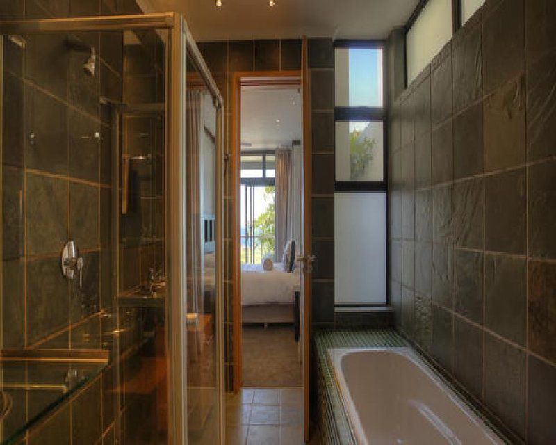 16 Springbok Road Green Point Cape Town Western Cape South Africa Bathroom, Swimming Pool