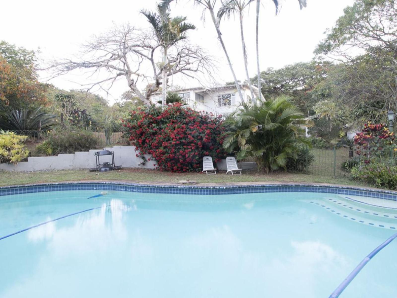 16 St Johns Apartment Sea Park Kwazulu Natal South Africa Palm Tree, Plant, Nature, Wood, Swimming Pool