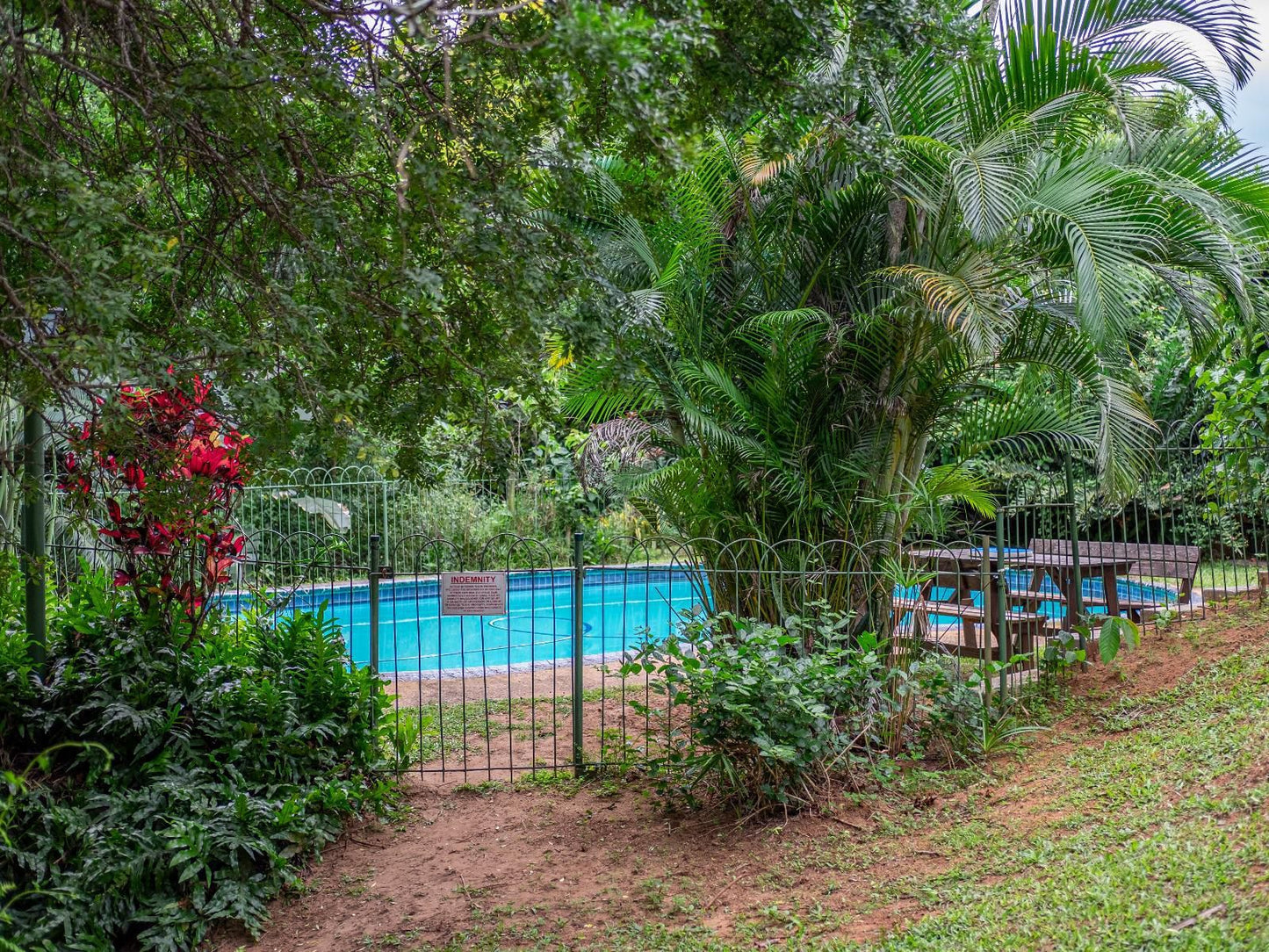 16 St Johns Apartment Sea Park Kwazulu Natal South Africa Palm Tree, Plant, Nature, Wood, Garden, Swimming Pool