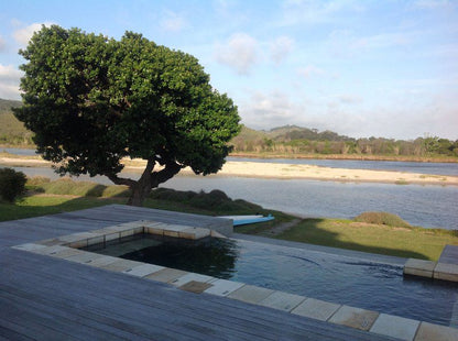 Twin Rivers Villa Keurboomstrand Western Cape South Africa Beach, Nature, Sand, Palm Tree, Plant, Wood, Swimming Pool