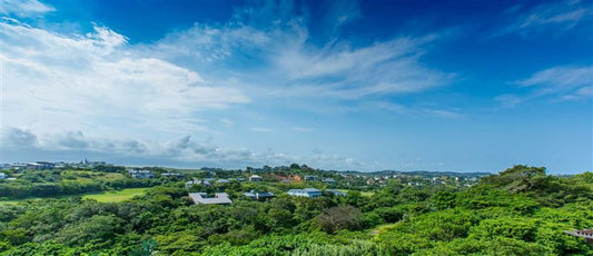 17 Feverberry Way Simbithi Eco Estate Ballito Kwazulu Natal South Africa Colorful, Island, Nature, Palm Tree, Plant, Wood