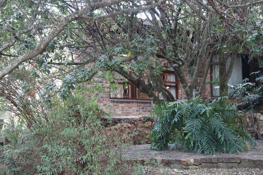 17 On Ilchester Somerset Heights Grahamstown Eastern Cape South Africa Unsaturated, House, Building, Architecture, Plant, Nature, Garden