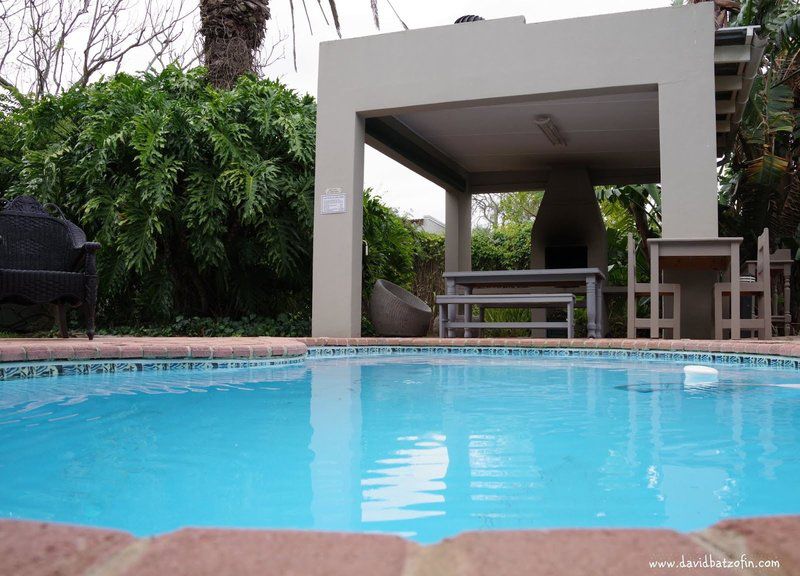 17 On 5Th Avenue Guest House Walmer Port Elizabeth Eastern Cape South Africa Palm Tree, Plant, Nature, Wood, Swimming Pool