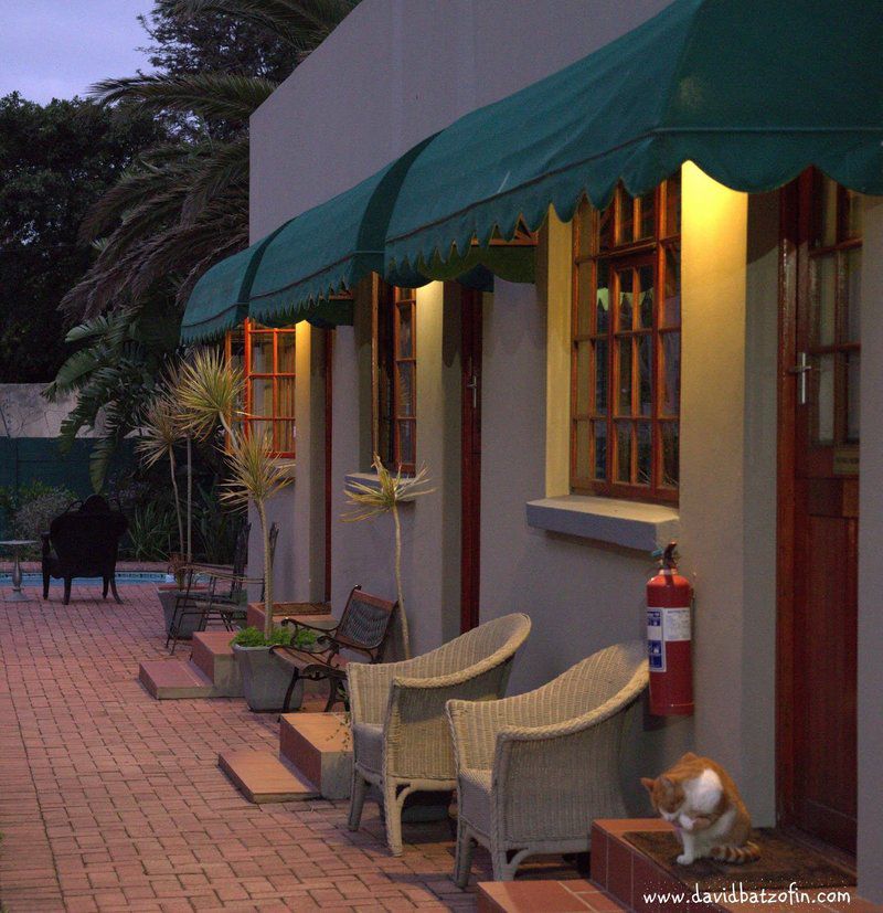 17 On 5Th Avenue Guest House Walmer Port Elizabeth Eastern Cape South Africa House, Building, Architecture, Palm Tree, Plant, Nature, Wood