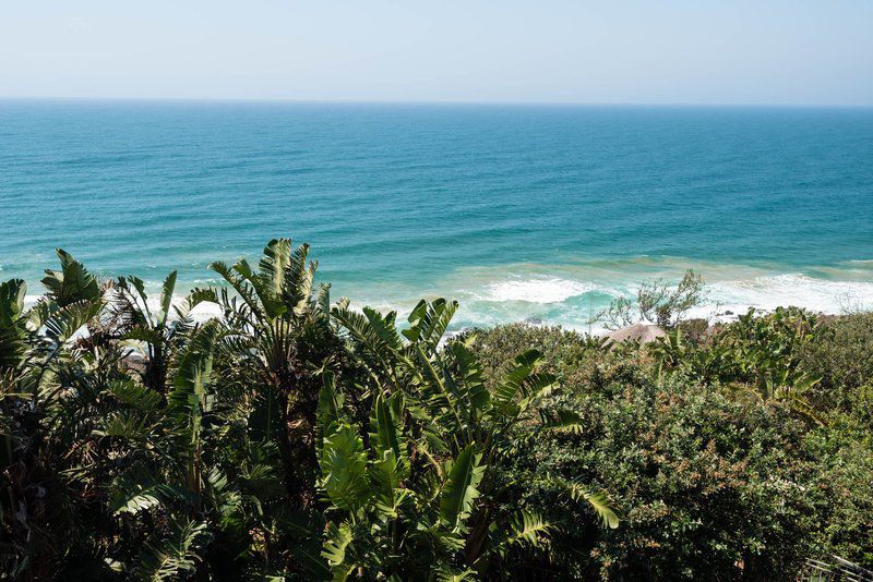 18 Sheffield Sheffield Beach Ballito Kwazulu Natal South Africa Beach, Nature, Sand, Palm Tree, Plant, Wood, Ocean, Waters