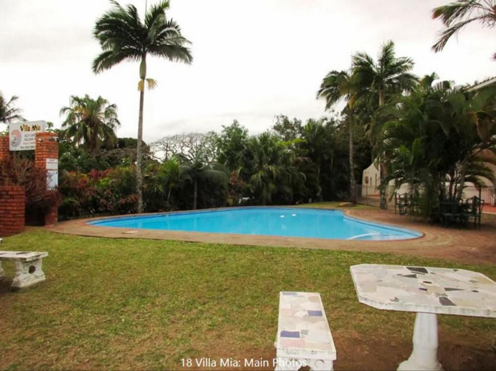 18 Villa Mia Holiday Resort St Lucia Kwazulu Natal South Africa Palm Tree, Plant, Nature, Wood, Swimming Pool