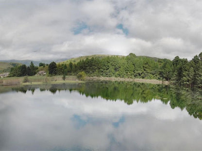 19 Mount Champagne, River, Nature, Waters, Tree, Plant, Wood, Highland